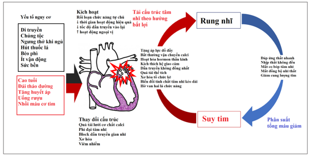 Tai biến mạch máu não ở người già