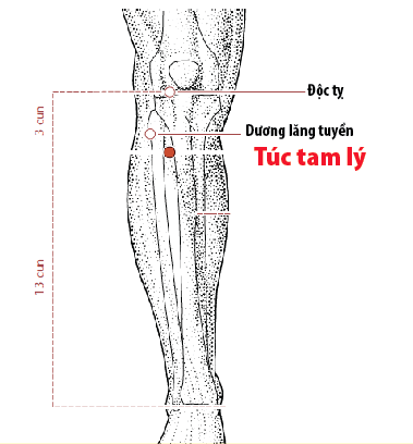 Xoa bóp chữa thiểu năng tuần hoàn não