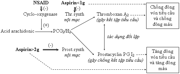 thuốc chống đột quỵ 