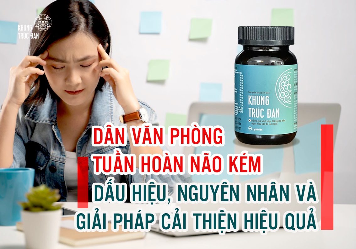 Dân văn phòng tuần hoàn não kém: Dấu hiệu, nguyên nhân và giải pháp cải thiện hiệu quả