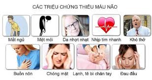 bài thuốc dân gian chữa thiếu máu não