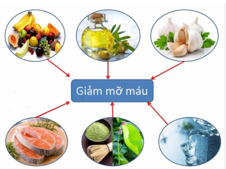 Rối loạn mỡ máu