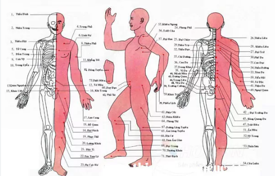 Bị tai biến mạch máu não có nên châm cứu không?