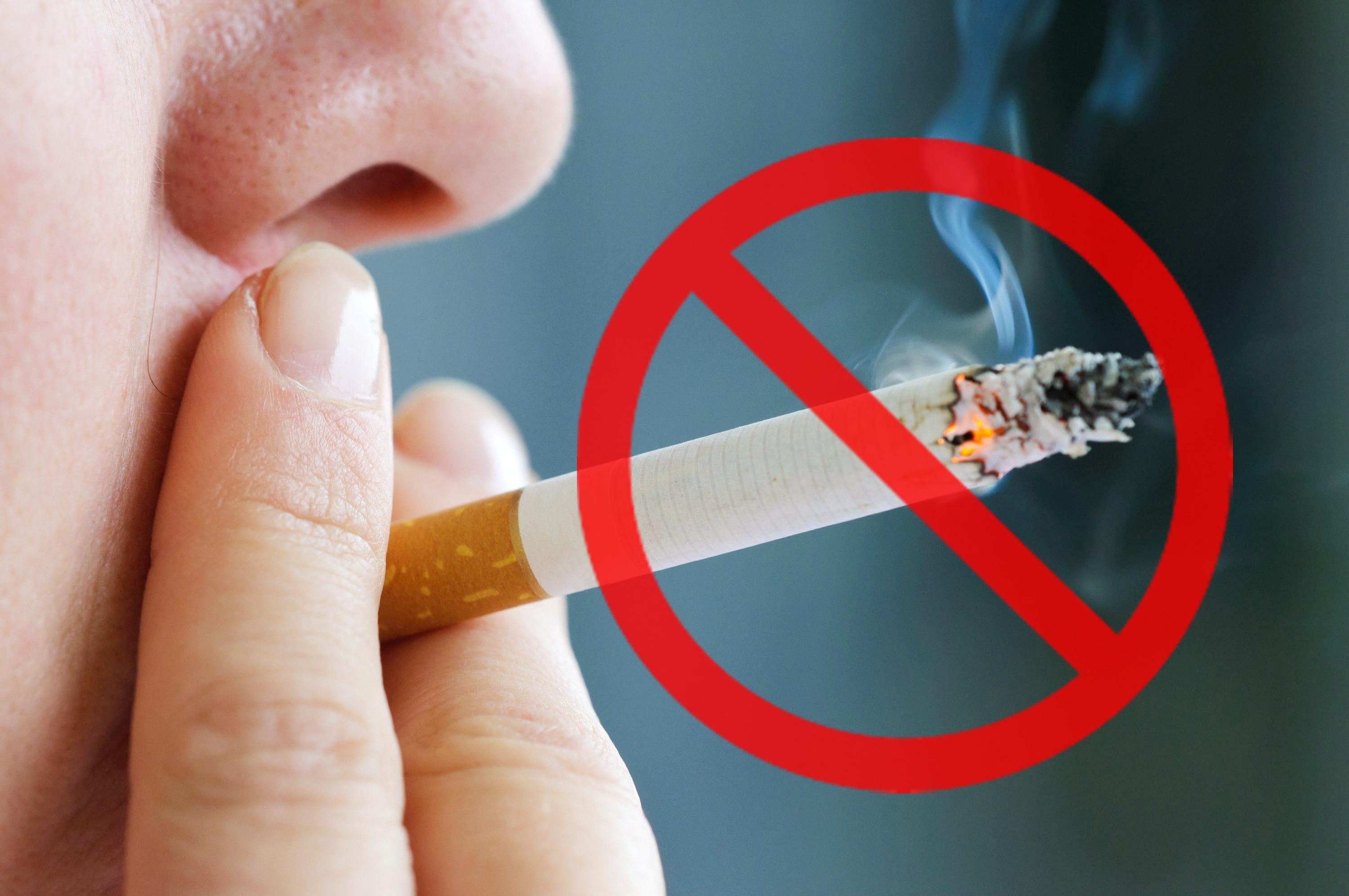 Các biện pháp phòng ngừa đột quỵ