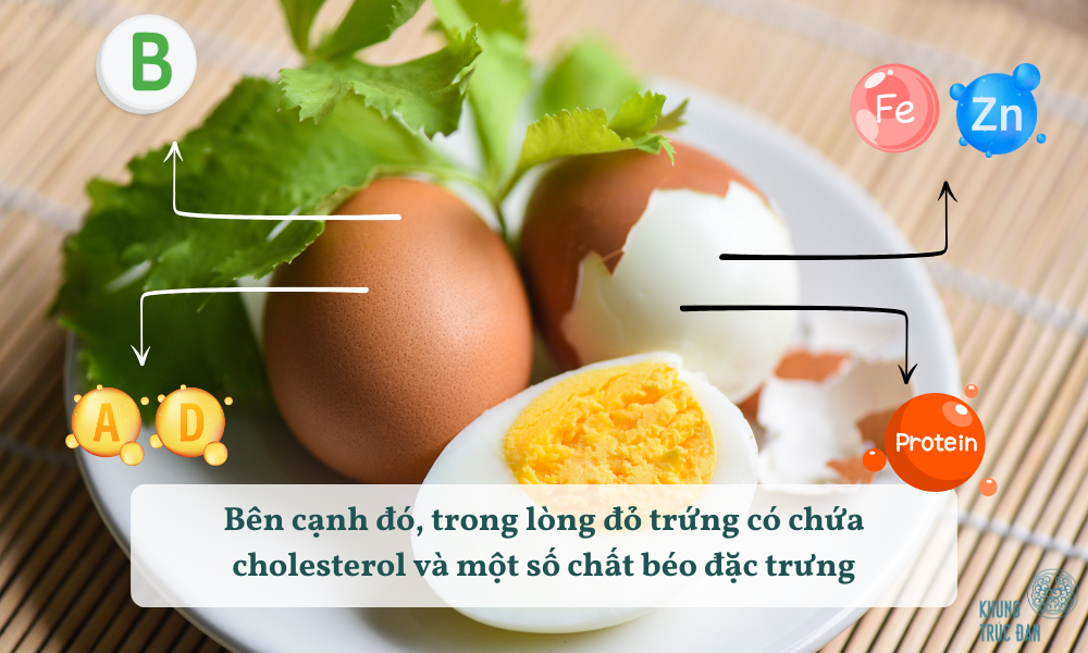 Giá trị dinh dưỡng của trứng