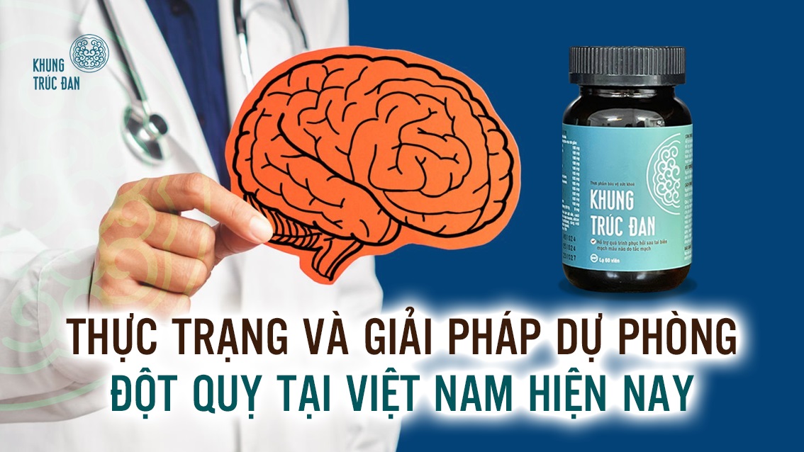 Thực trạng và giải pháp dự phòng đột quỵ tại Việt Nam hiện nay